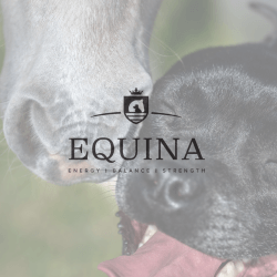 Equina