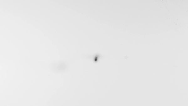 teaser-600px-short.gif